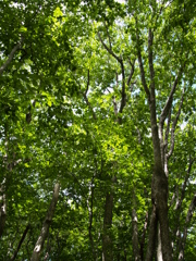 光害写真が増加中