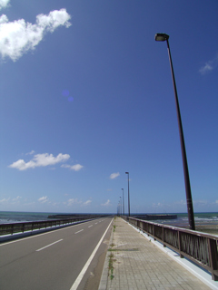 秋めく日々日本海②