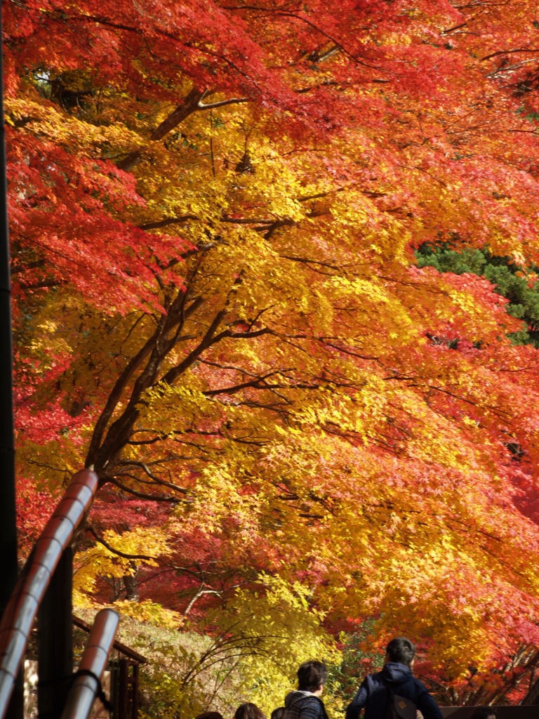 皆、何を見上げているのか