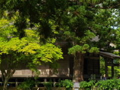 どこまでが写真か、①