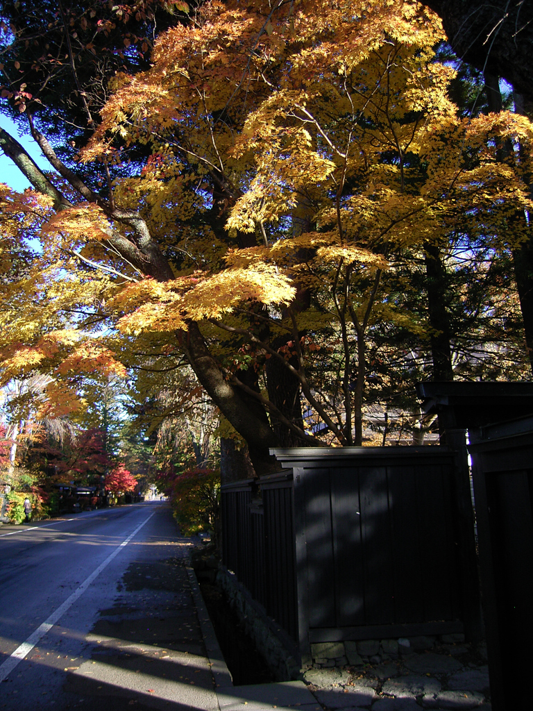 角館行きましたコンデジ編②