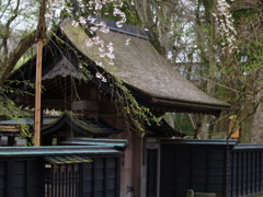 秋田県　角館①