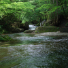 水辺の緑⑥