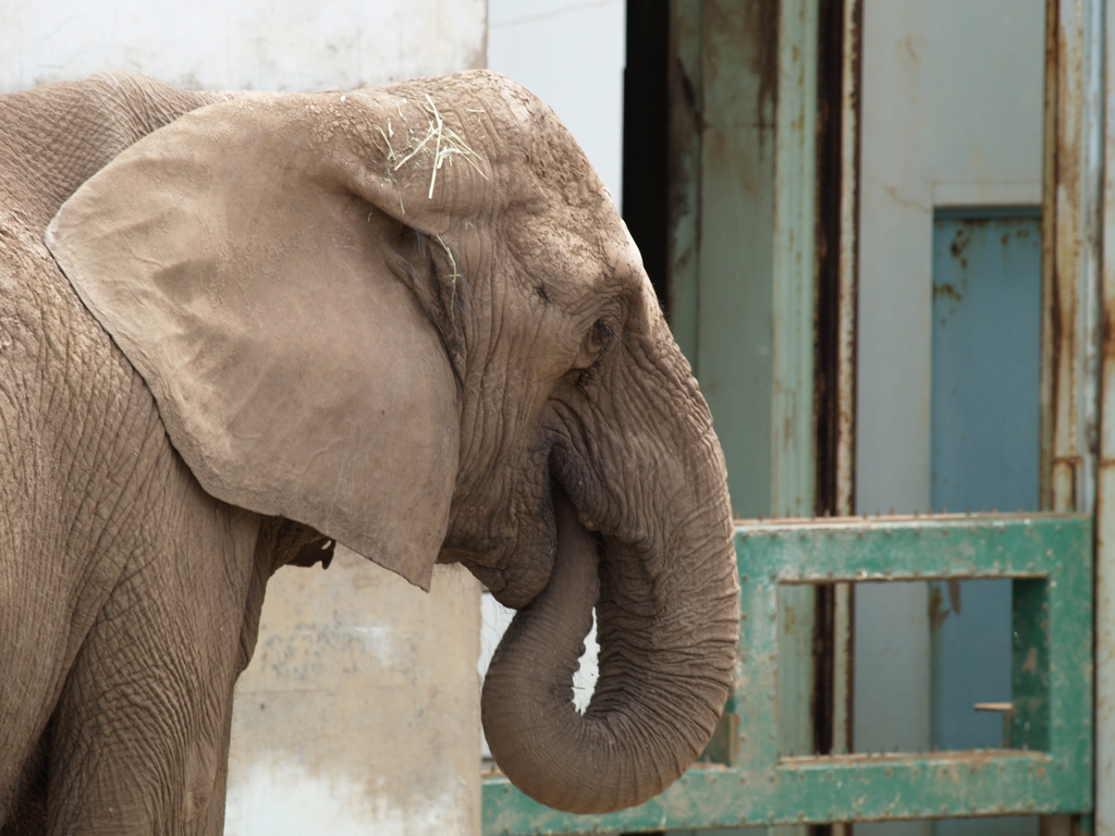 動物園に行こう⑬