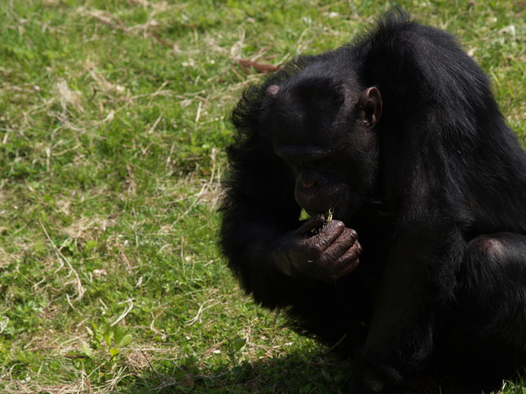 動物園に行こう⑱