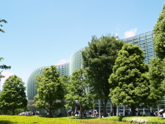 日差し