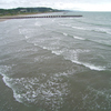 海は広いな