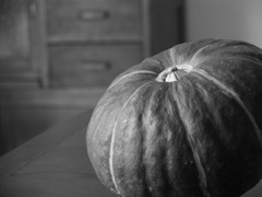 CCDの備忘録Pro1⑧