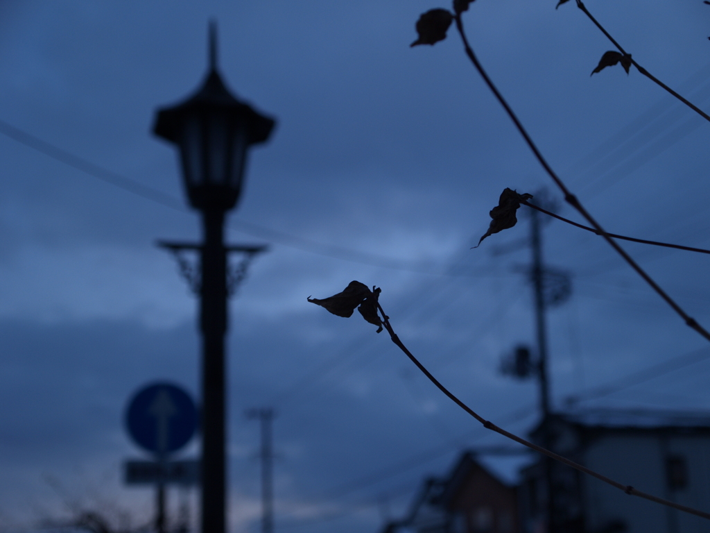 5M分の奥行き④