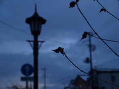 5M分の奥行き④