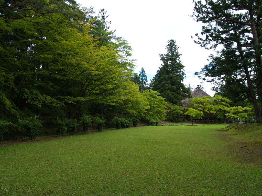 初夏の毛越寺②