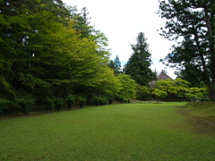初夏の毛越寺②