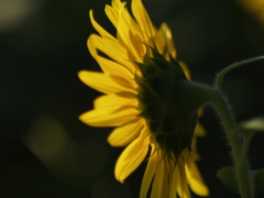 8月を振り返ると②