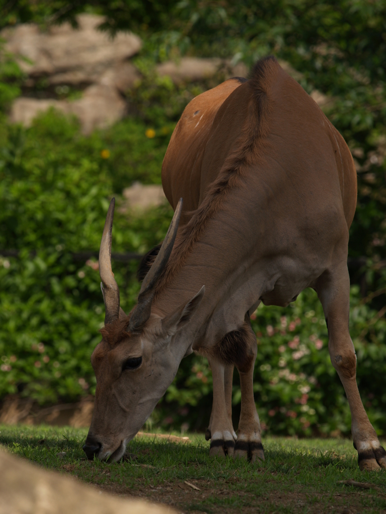 スペック外性能②
