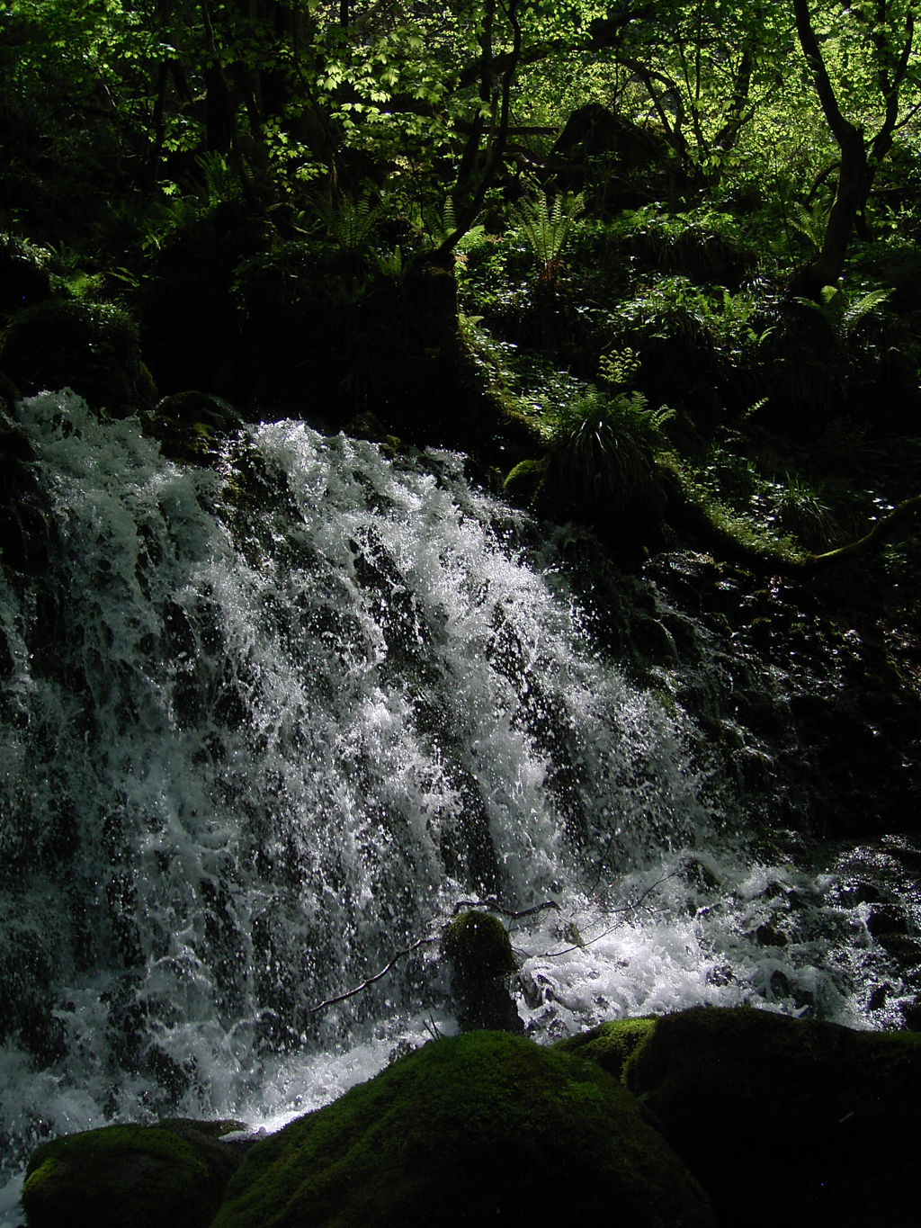 山、緑、水③