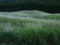 日差しを待ちながら