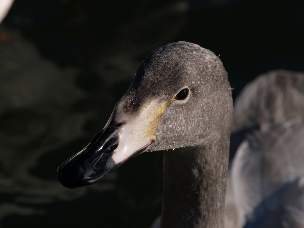 明るさ写ってる？