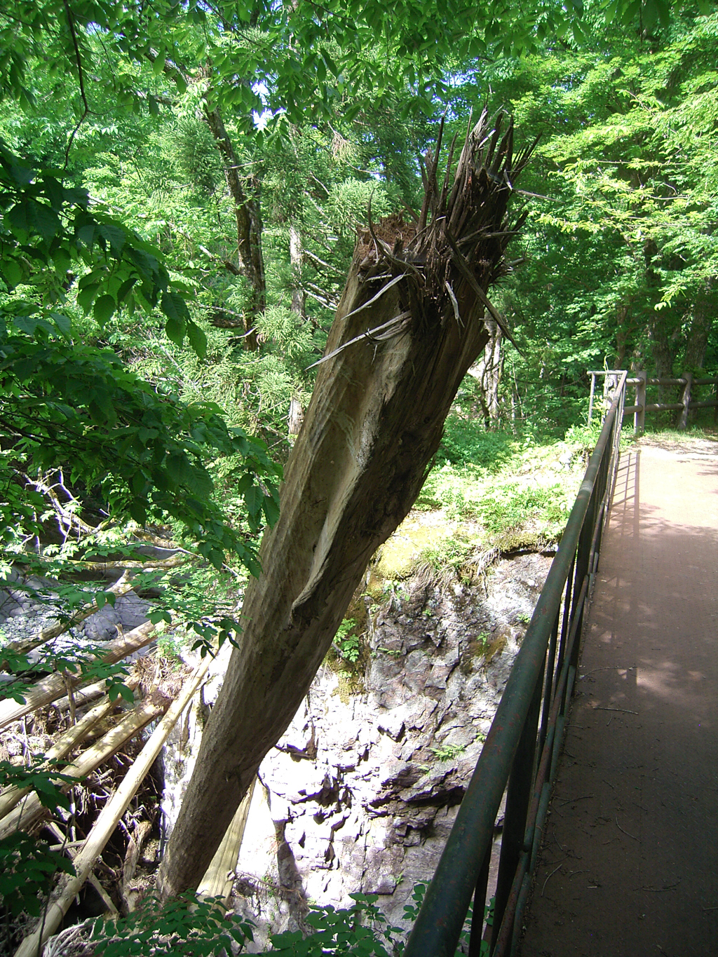 蛇行する川②