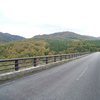 自然と道路③