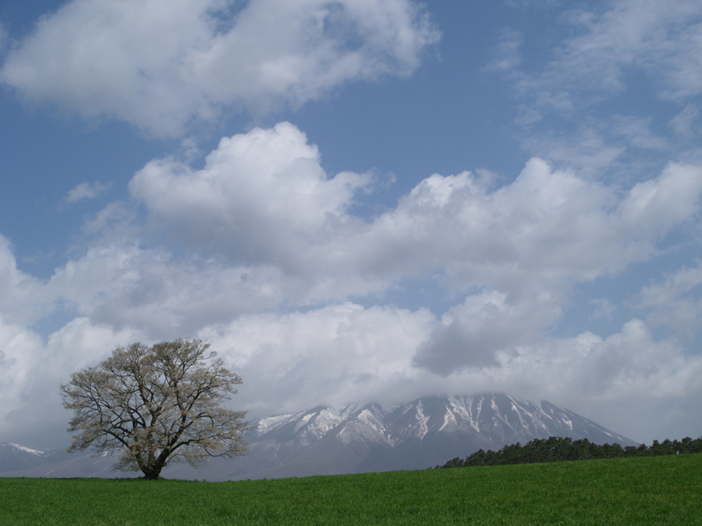 空も景色