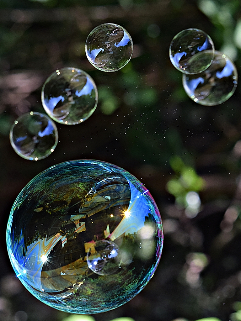 DSC_0609
