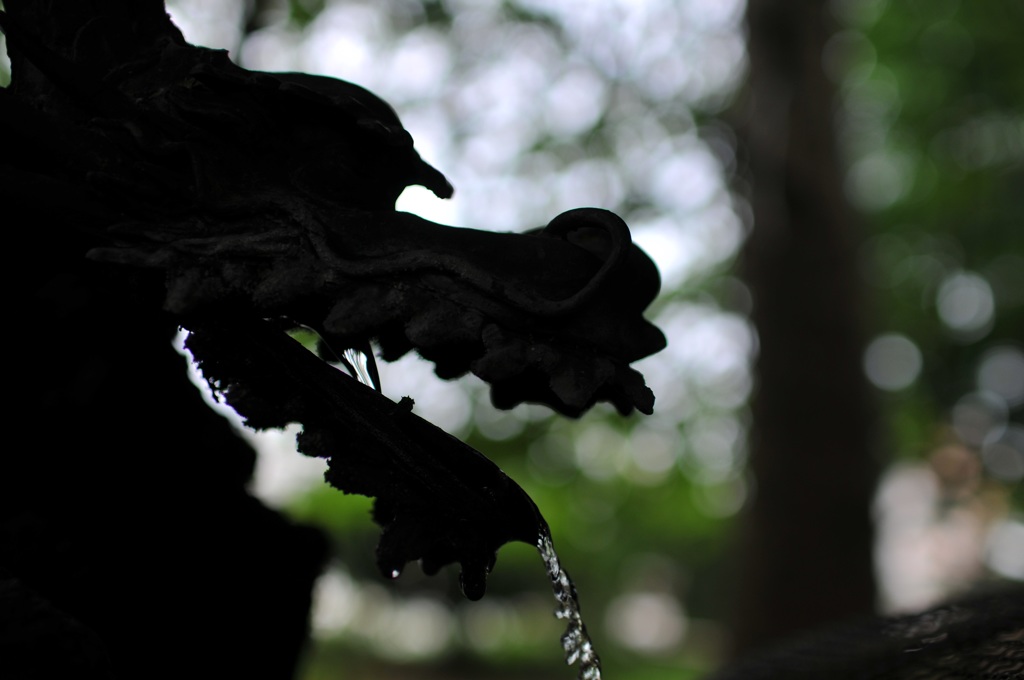 silhouette dragon
