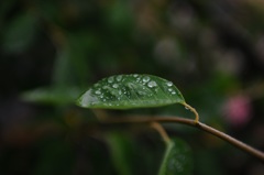 雨粒2