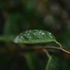 雨粒2