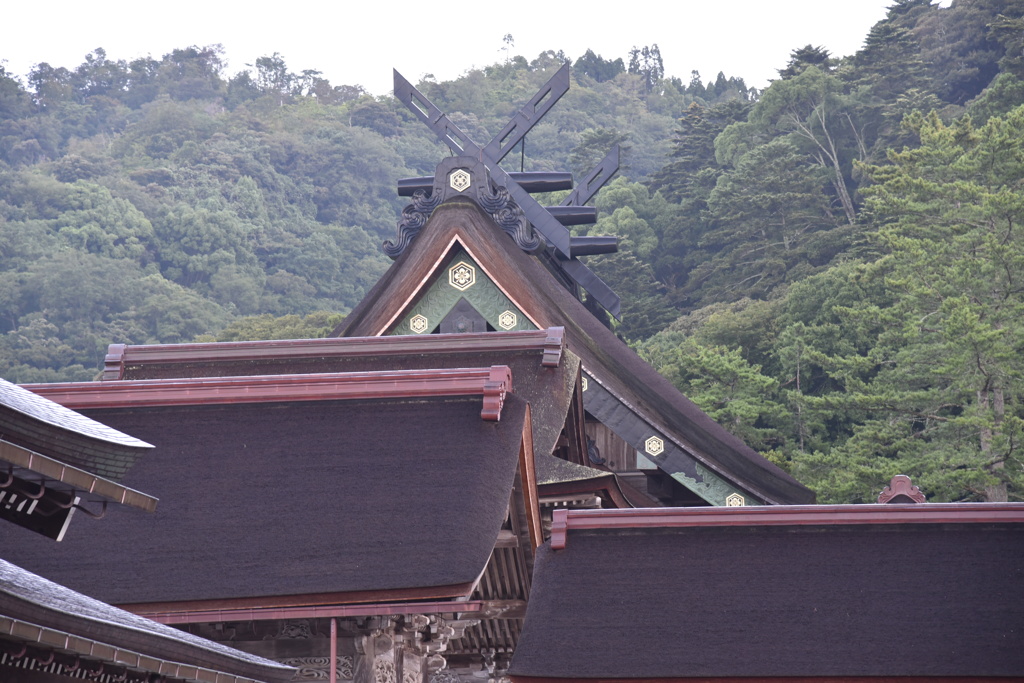 出雲大社本殿　大社造というらしい