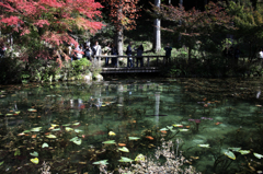 根道神社