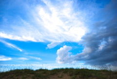 夏の空