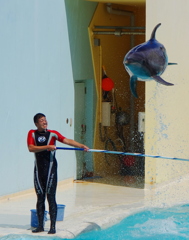 海から空へ