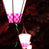夜桜