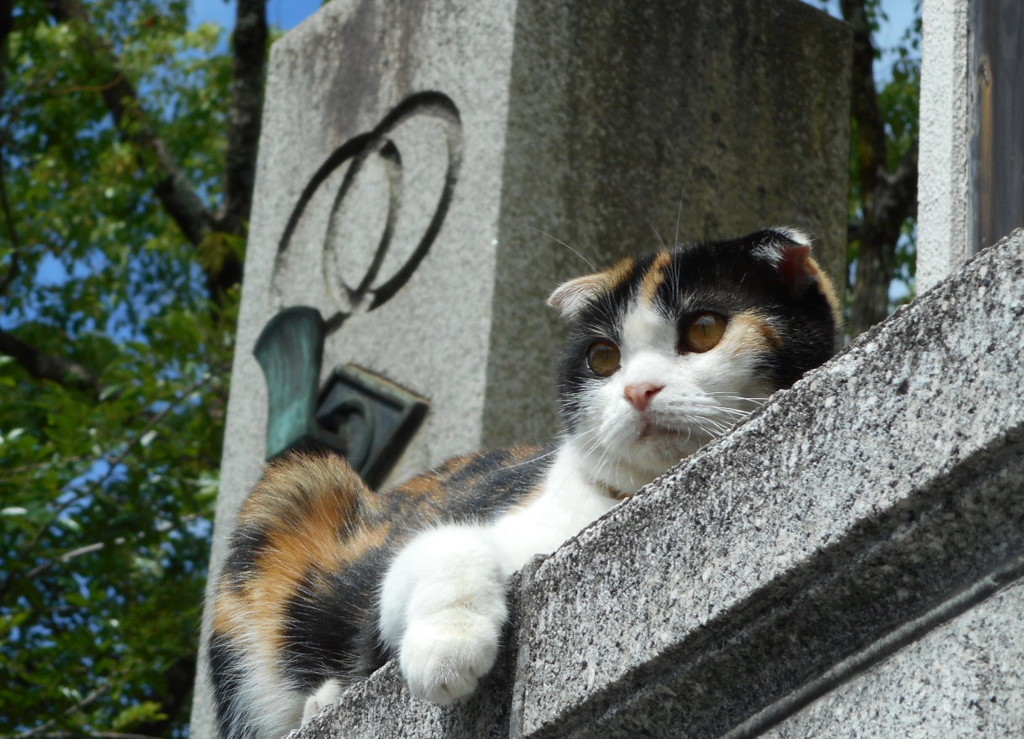 お寺の門番