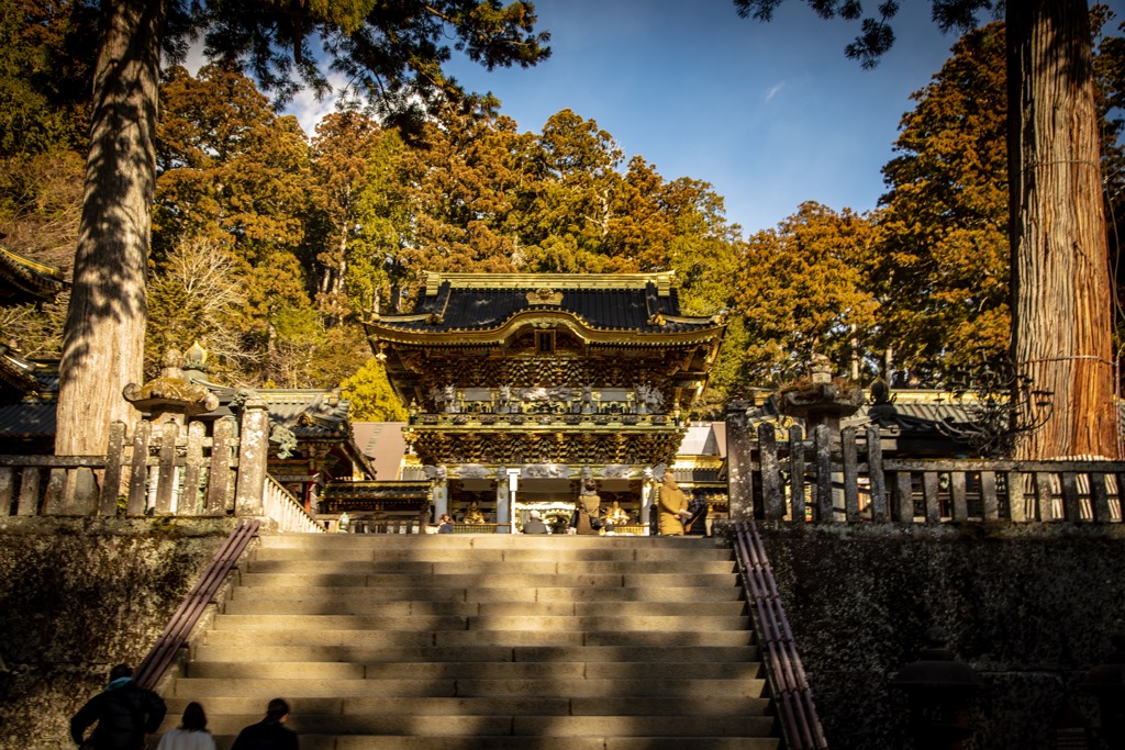 日光