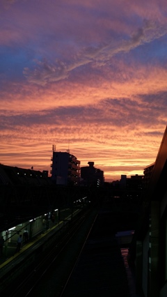 夕方の空　思わずカシャッ♪