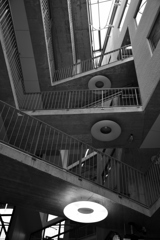 エストニア大学