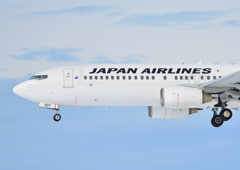 やっぱりJALが好きですね～