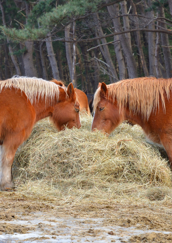 食べるのも仕事