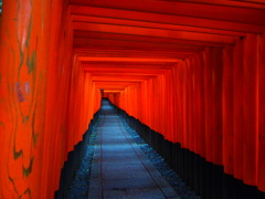 千本鳥居