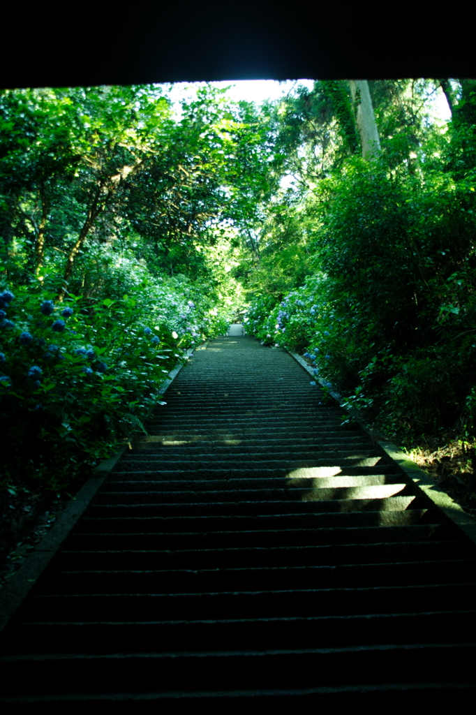 神社の参道