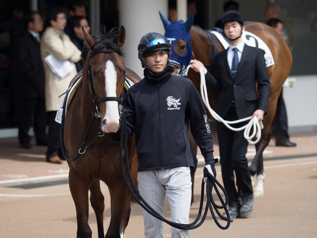 馬よりもイケメン