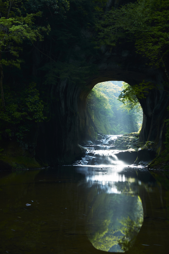 初夏の日差し