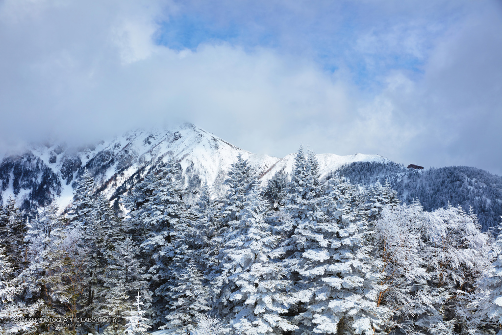 ❄雪化粧❄