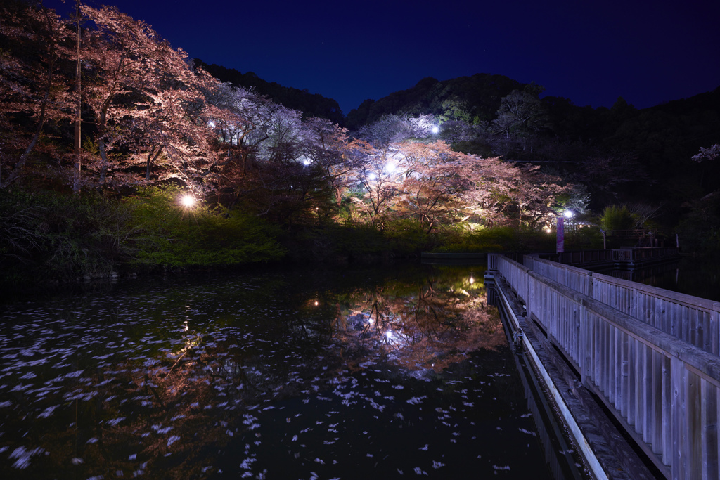 奥山に散る