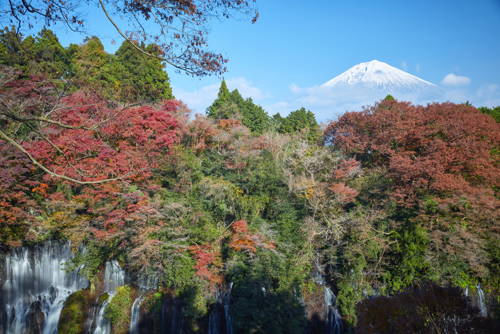 秋を終える白糸の滝