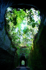 緑差し込むトンネル