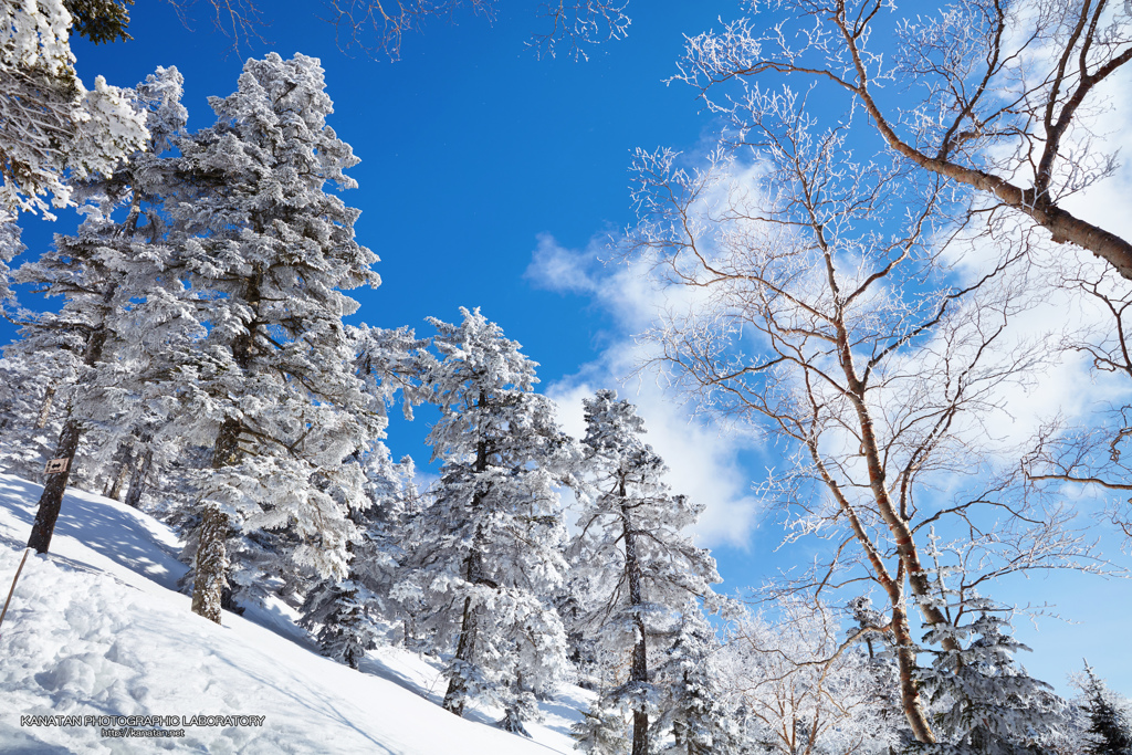 ⛄雪山⛄