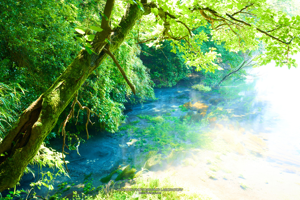 湧水