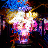 ART AQUARIUM